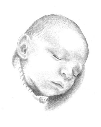 Portraitzeichnung Baby